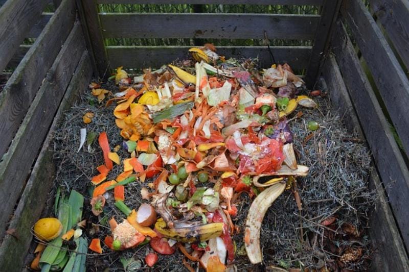 Kompostorissa biojätettä