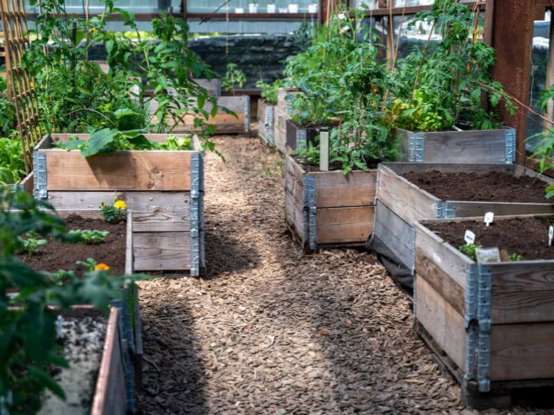 Lavakaulukset hyötypuutarha