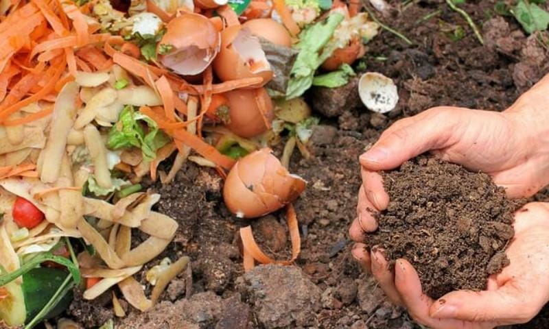 Biojätteet kompostimulta